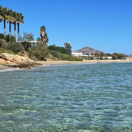 Sunkiss Paros Lejlighed Drios Eksteriør billede
