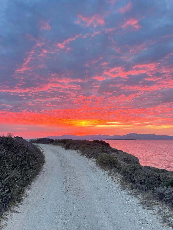 Sunkiss Paros Lejlighed Drios Eksteriør billede